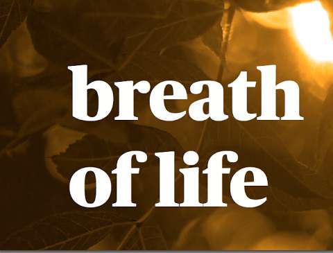Breath of Life Yukon wellness collective